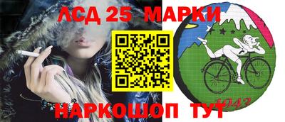 гидра Свободный