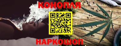 гидра Свободный