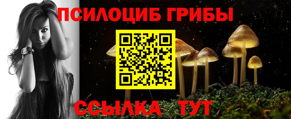 Галлюциногенные грибы Psilocybe Семилуки